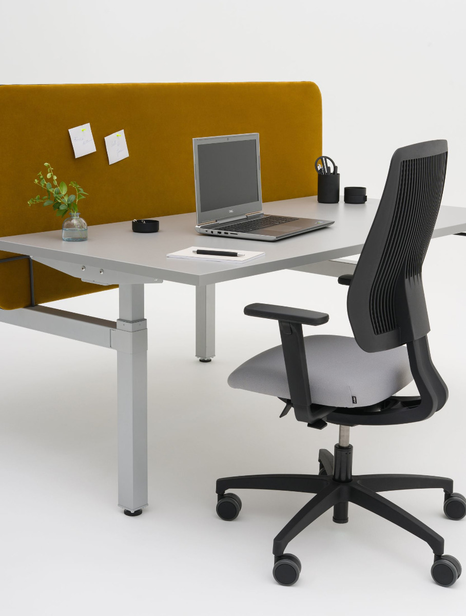 Ogi Drive bench