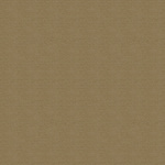 SX-122-1078 Champagne