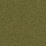 MC-2497-62048 Oliwkowy