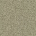 MC-2496-62093 Oliwkowy jasny