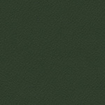 V-29 Ciemny zielony