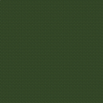 A-68110 Leśny zielony