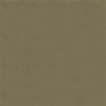 Oliwkowy mat strukturalny RAL 6013